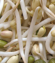Mungbohnen